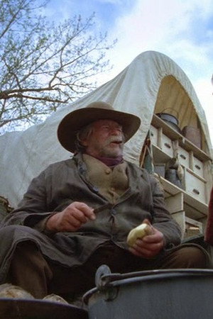The Ingalls' Journey (1)