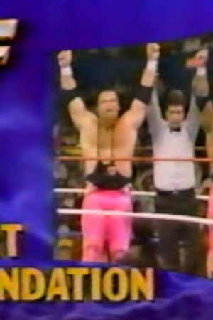 April 28, 1990 - Superstars of Wrestling 191