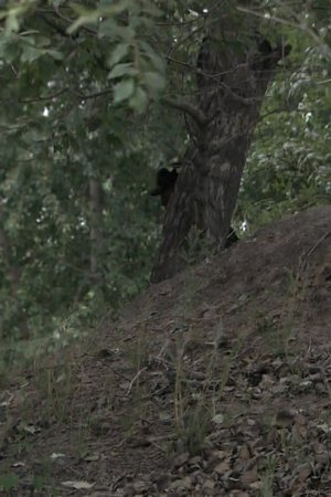 2. epizoda