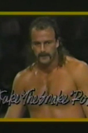 January 10, 1987 - Superstars of Wrestling #19