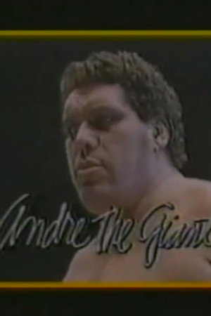 March 7, 1987 - Superstars of Wrestling 27