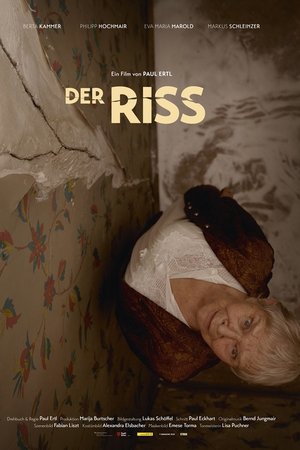 Der Riss