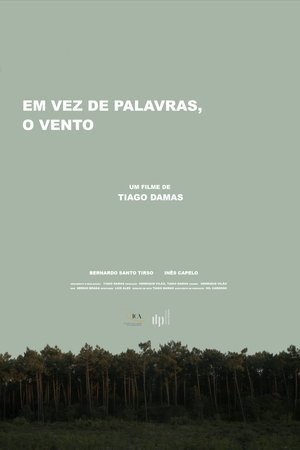 Em vez de palavras, o vento
