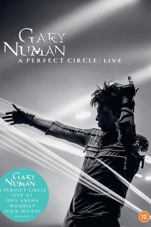 Gary Numan A Perfect Circle: Live At OVO Arena Wembley