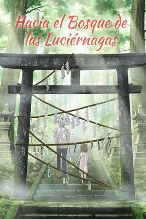 Imagen de En el bosque de la luz de las luciérnagas
