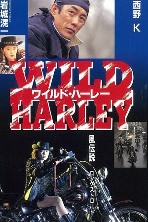 Wild Harley