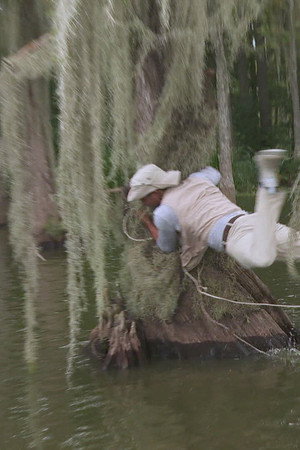 Trial by Flood