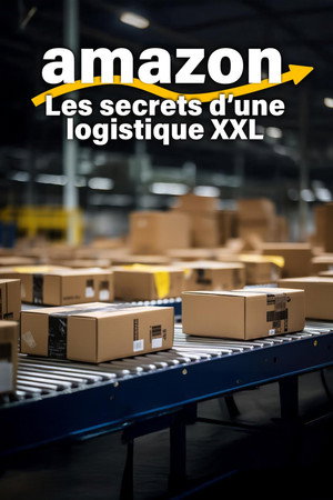 Amazon, les secrets d'une logistique XXL