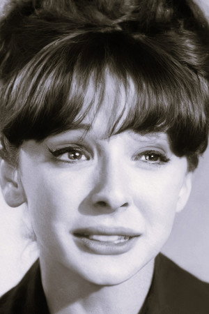 Where is Chick Lorrimer? Where Has He Gone?