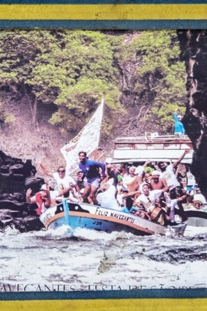 Feliz Navegantes