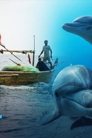 Illegal dolphin hunting