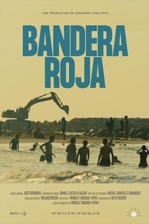 Bandera roja