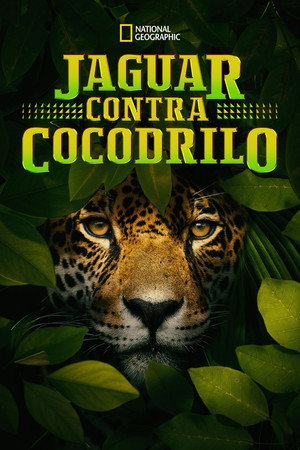 Jaguar vs. Croc