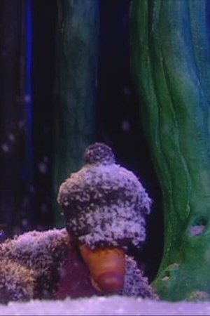 13. epizoda