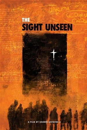 The Sight Unseen