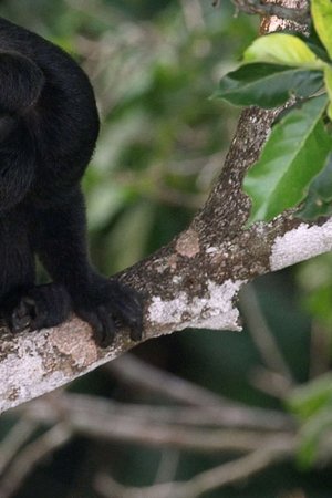 6. epizoda