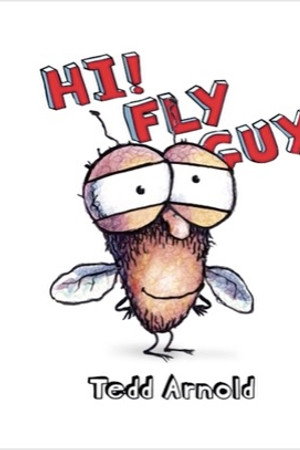 Hi Fly Guy