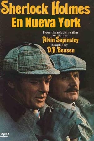 Sherlock Holmes in New York