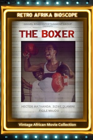 The Boxer