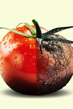 Duped: Food Exposed (Part 1)