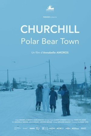 Churchill, Polar Bear Town
