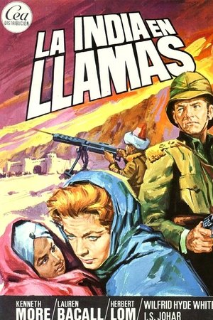 Imagen de La India en llamas