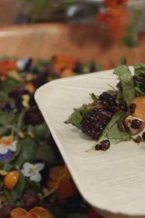 Make Ohlone Salad