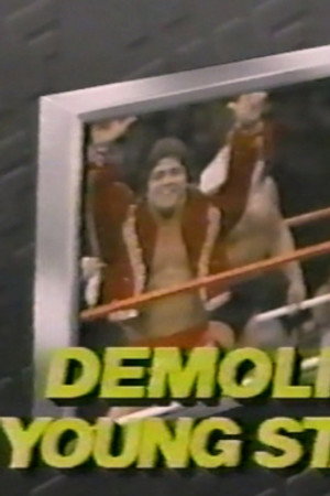 June 11, 1988 - Superstars of Wrestling 93