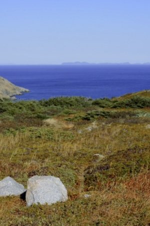 epizoda