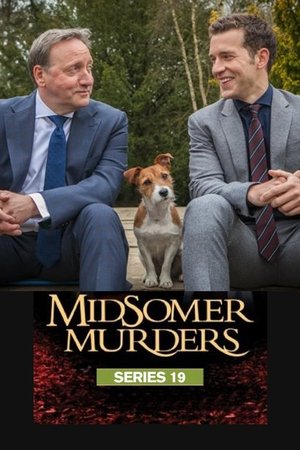 Season 19