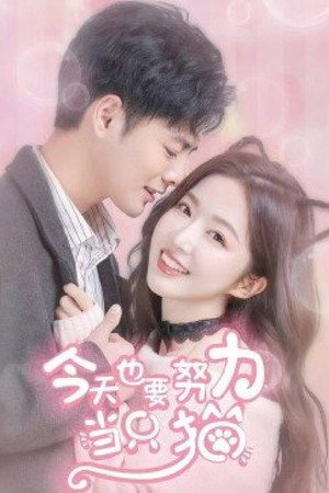 今天也要努力当只猫