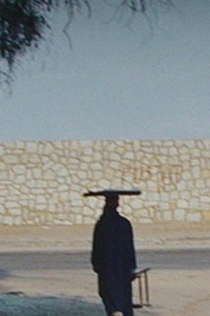 Fahrt nach Kairo
