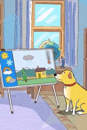Martha the Weather Dog