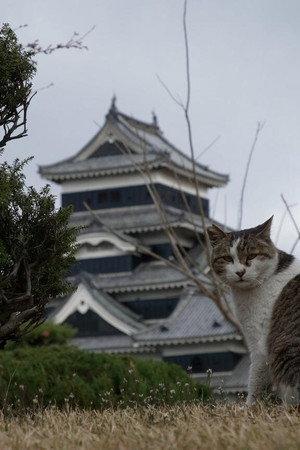 Nagano: Castles, Noodles, and Hot Springs