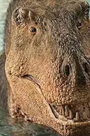 5. epizoda