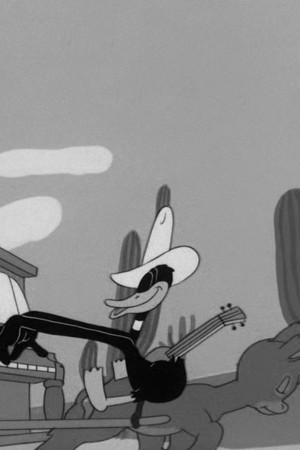 The Daffy Duckaroo