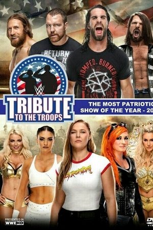 WWE Tribute to the Troops 2018