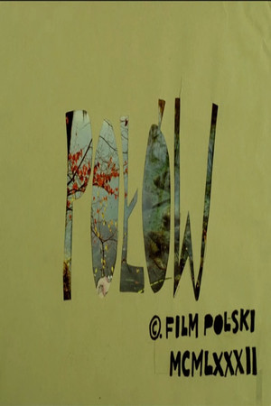 Połów