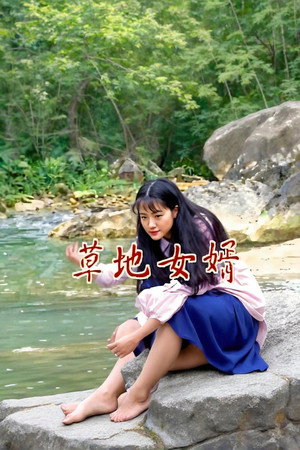 草地女婿