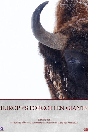 Europe's Forgotten Giants