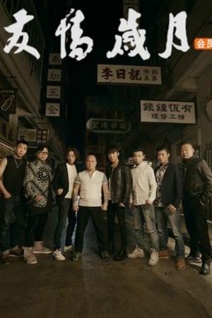 友情岁月