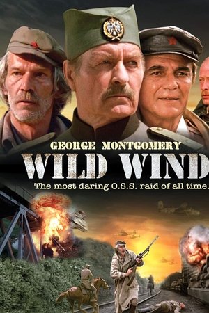 Wild Wind