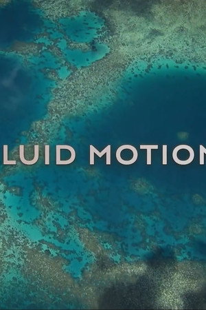 Fluid Motion