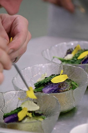 North West England: Starter and Fish