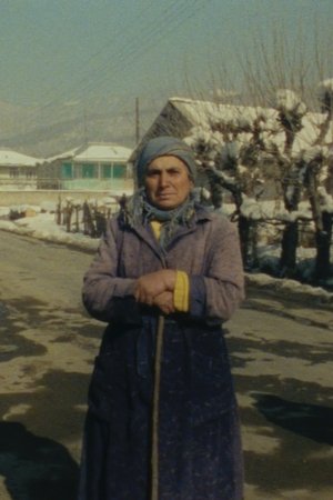 Sept alphabets pour une seule mer