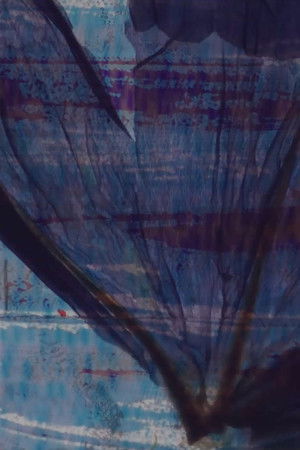 Colours & flowers for scratches