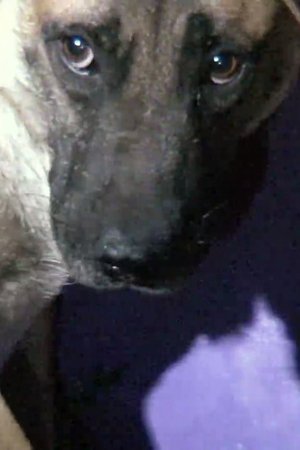 7. epizoda