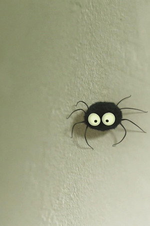 The stubborn spider