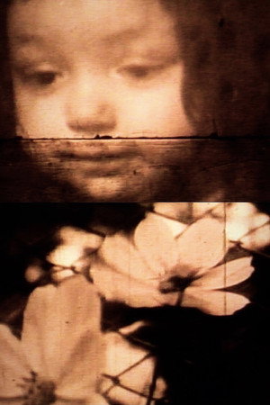 Lungometraggio M.O.