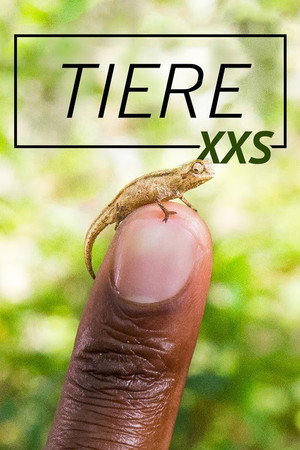 Super Small Animals